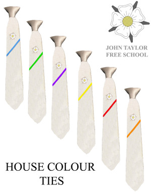 John Taylor Free School TIE - House Colours