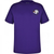 Fairmeadows Primary PE T-Shirt (House Colours)