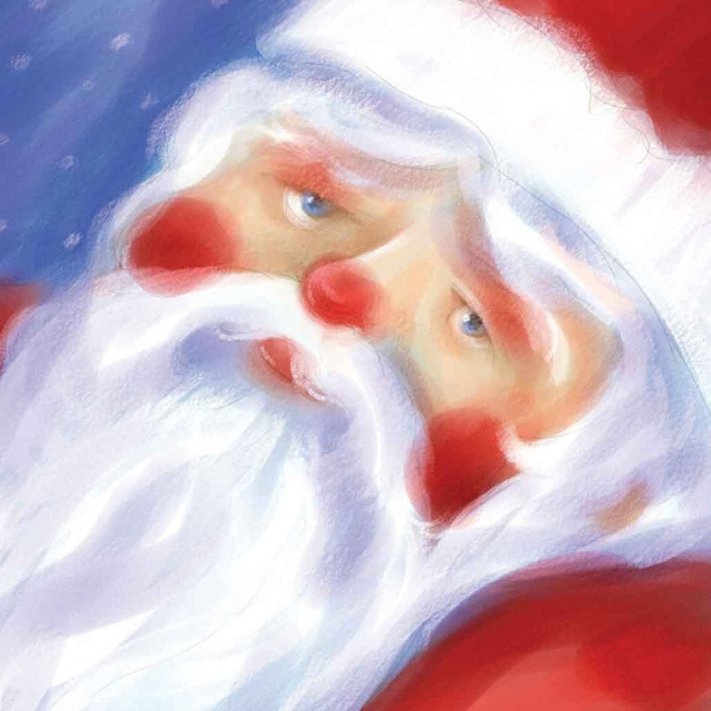 Holiday Christmas Theme Cleaning Cloth Santa