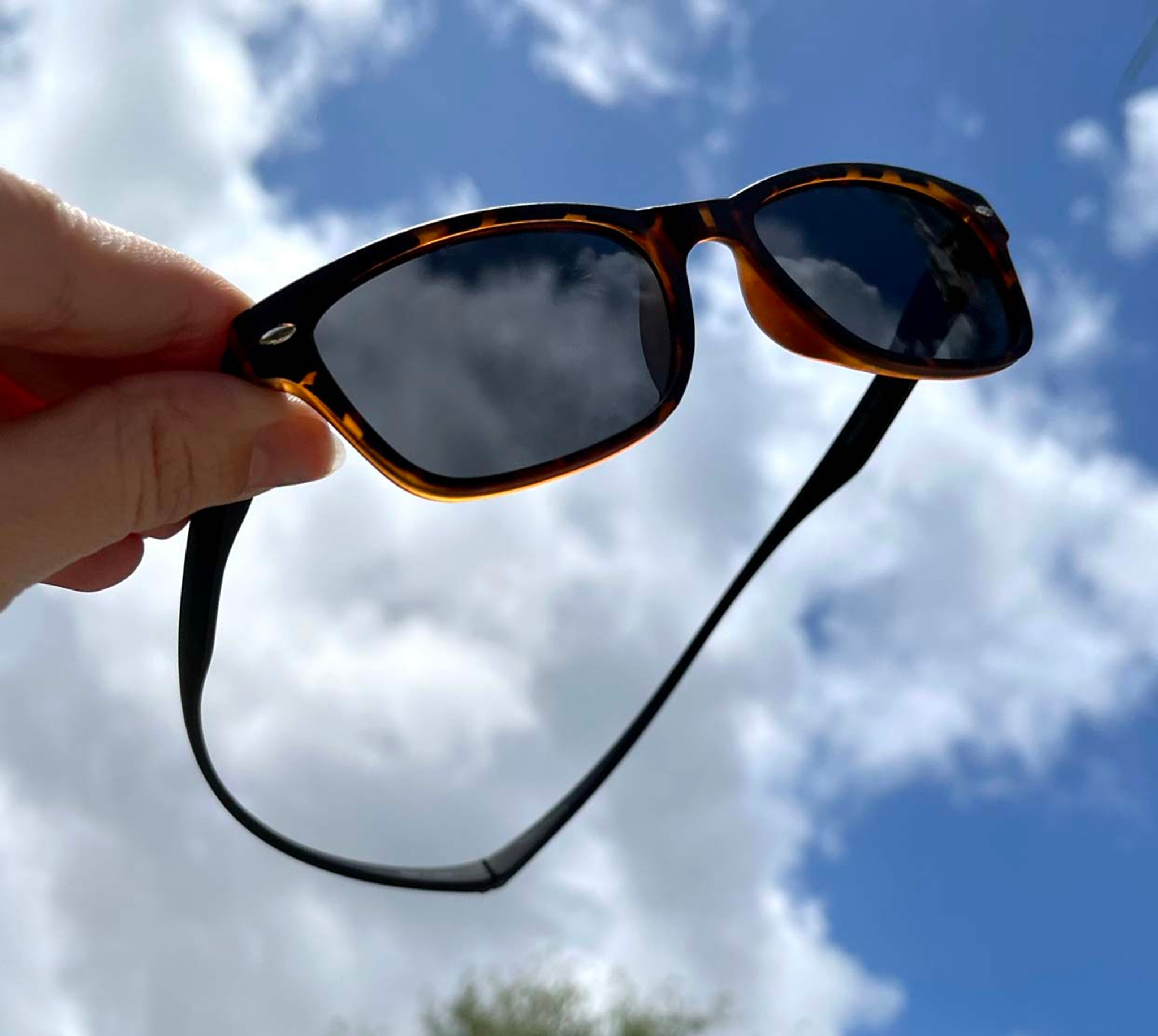 Aria Sunglasses | Vint and York