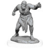 WizKids DandD Nolzurs Marvelous Miniatures Flesh Golems