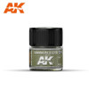 AK Interactive Real Colors: Green FS 34258 - 10ml  RC233 