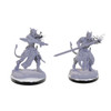 WizKids D&D Nolzur's Marvelous Minis: Wave 22- Tiefling Warlocks 