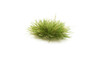 Woodland Scenics Medium Green Grass Tufts 771