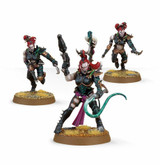 Games Workshop Dark Eldar Wyches