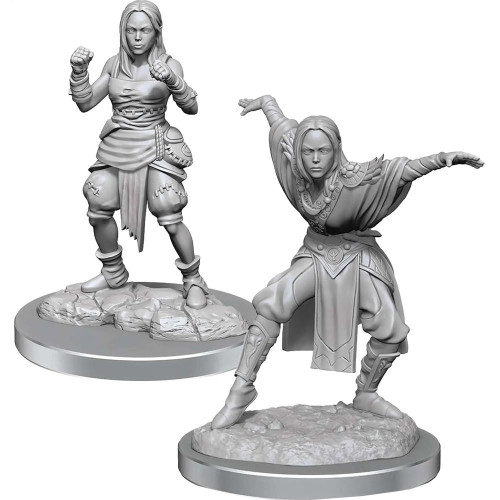 WizKids Pathfinder Deep Cuts Unpainted Miniatures: Wave 21 - Half-Elf Monk Females 