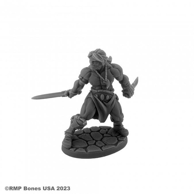 Bones USA Dungeon Dwellers Hyborian Hero (07116) Bones USA Dungeon Dwellers Hyborian Hero (07116)