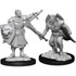 WizKids Pathfinder Deepcuts Human Champion Male