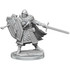 WizKids DandD Frameworks W1 Male Human Fighter