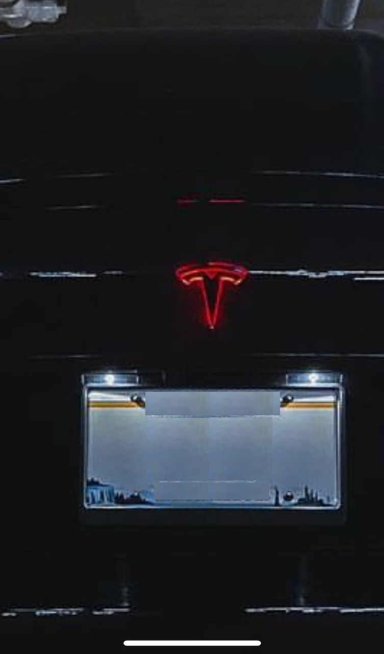 "T" Halo Badge for Model X Rear (6 Colors)