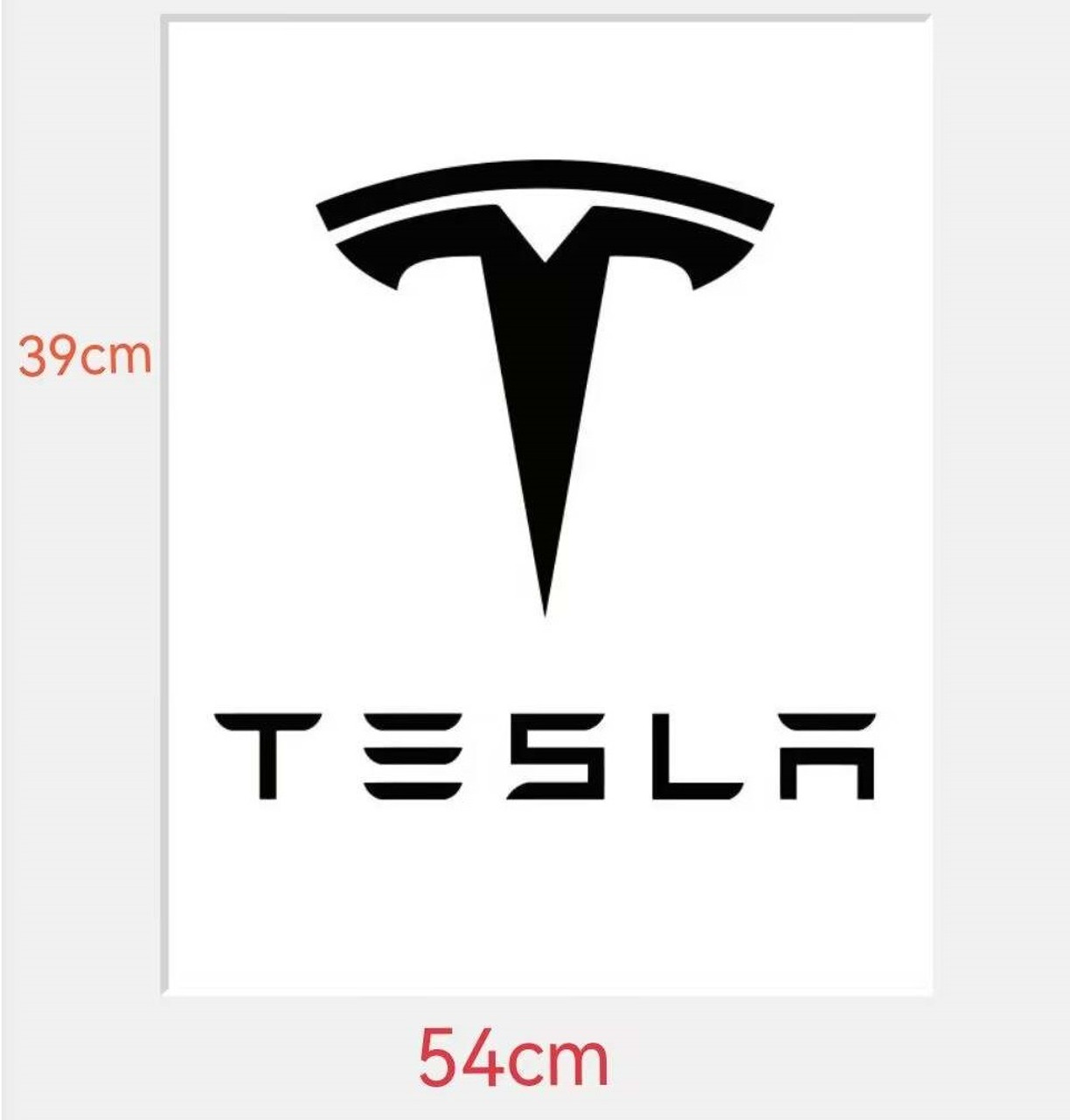 T-Logo Floor Mats for Model S/X/3/Y (12 Pack) 