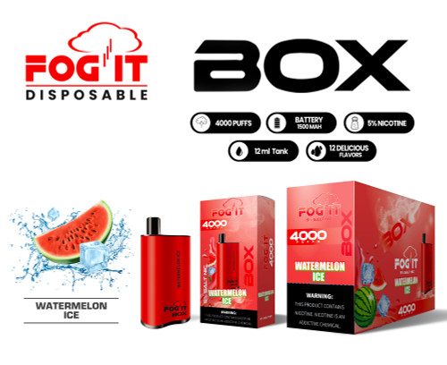 FOG IT VAPE 4000 PUFFS