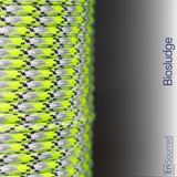 Paracord Sleeving - Biosludge