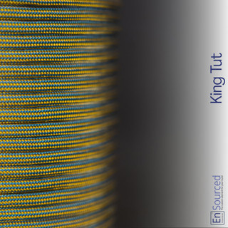 King Tut paracord sleeving