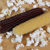 Microwave Popcorn on the Cob- Twin Pack - 12 Ct. Case Microwave Popcorn on the Cob- Twin Pack - 12 Ct. Case