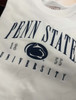 Penn State Reversed Sleeves Fleece Crew | League