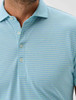 Stetsons Stripe Performance Polo | Johnnie-O