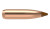 Nosler Ballistic Tip Hunting Projectiles 6.5 mm/.264 Cal (.264) 120gr 50