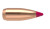 Nosler Ballistic Tip Varmint Projectiles .20 Cal (.204) 32gr 100