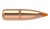 Nosler Ballistic Tip Varmint Projectiles .22 Cal (.224) 60gr 250