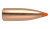 Nosler Ballistic Tip Lead Free Projectiles .22 Cal (.224) 40gr 100