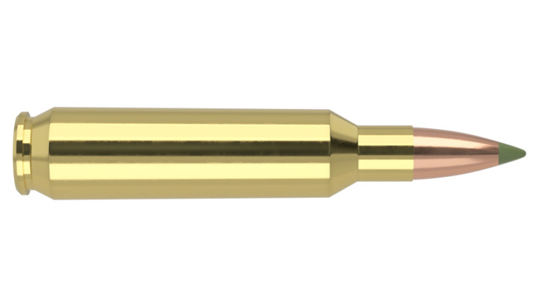 Nosler E-Tip Lead Free Ammunition - 22 Nosler 55g ET SP (20ct) **SPECIAL ORDER**