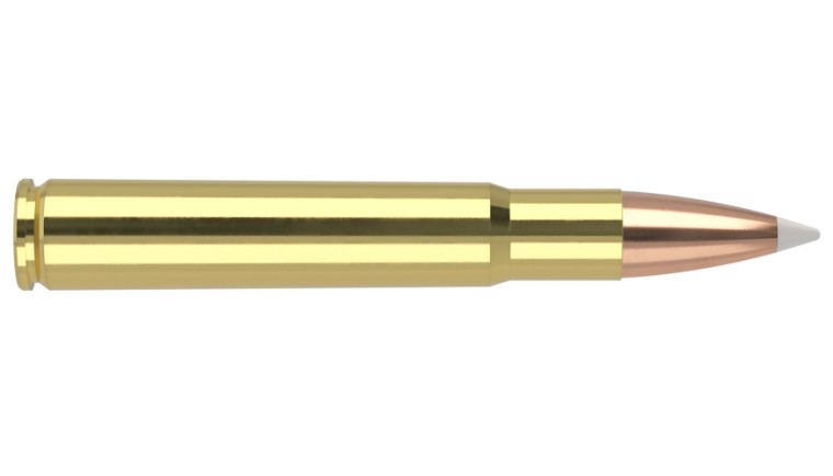 Nosler Trophy Grade Ammunition - 35 Whelen 225g AB SP