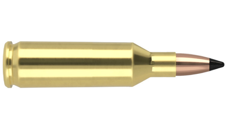 Nosler Varmageddon Ammunition - 17 Rem FB 20g VG FBT (20ct) **SPECIAL ORDER**