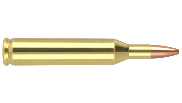 Nosler Varmageddon Ammunition - 17 Rem 20g VG HPFB (20ct) **SPECIAL ORDER**