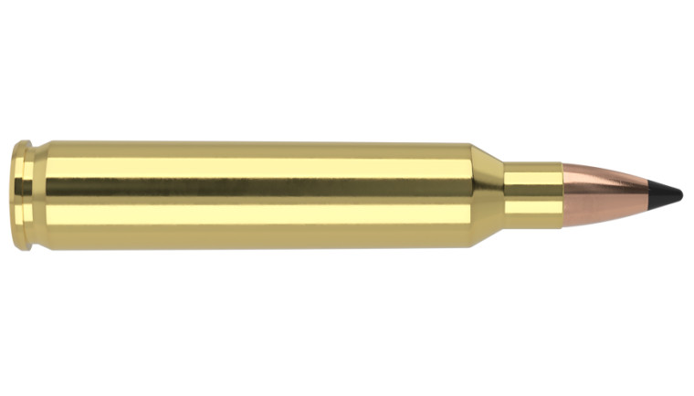 Nosler Varmageddon Ammunition - 204 Rug 32g VG FBT (20ct)