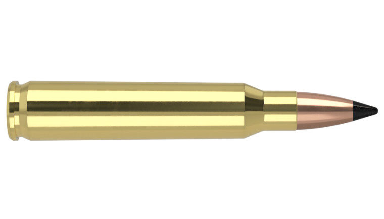 Nosler Varmageddon Ammunition - 223 Rem 55g VG FBT (20ct)