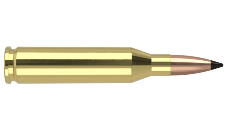 Nosler Varmageddon Ammunition - 243 Win 55g VG FBT (20ct)