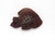 Tourmaline Fish Carving  30X39 mm 60.00 Carats GSCTO533
