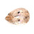 Peach Morganite Pear Faceted 10 x 7 mm 1.67 Carat GSCPEMO077