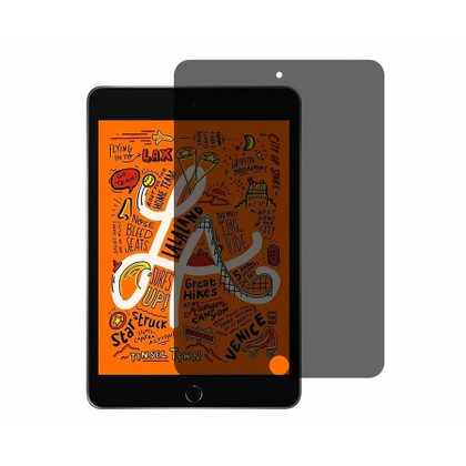 iPad Air 3 2019 10.5" Anti-Spy Privacy Tempered Glass Screen Protector Apple