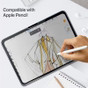 iPad Pro 12.9" (2020) 4th Gen Anti-Spy Privacy Tempered Glass Screen Protector Apple