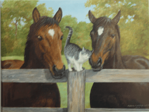 Horses and Cat Note Cards