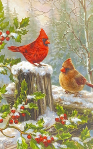 Cardinals on tree stump