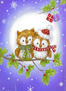 Owls on branch