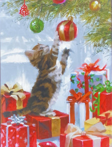 Kitten