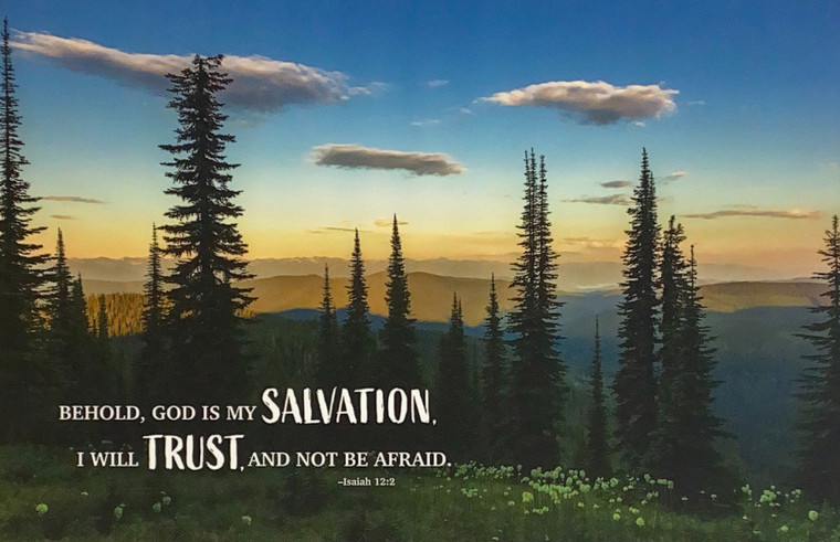 Salvation & Trust