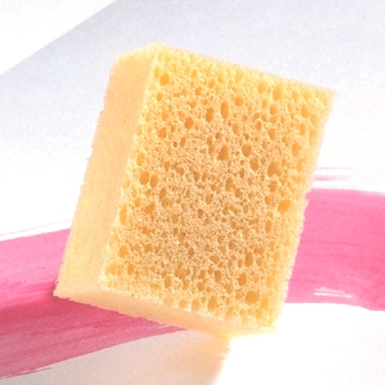 Paint Sponges - Creativity Street