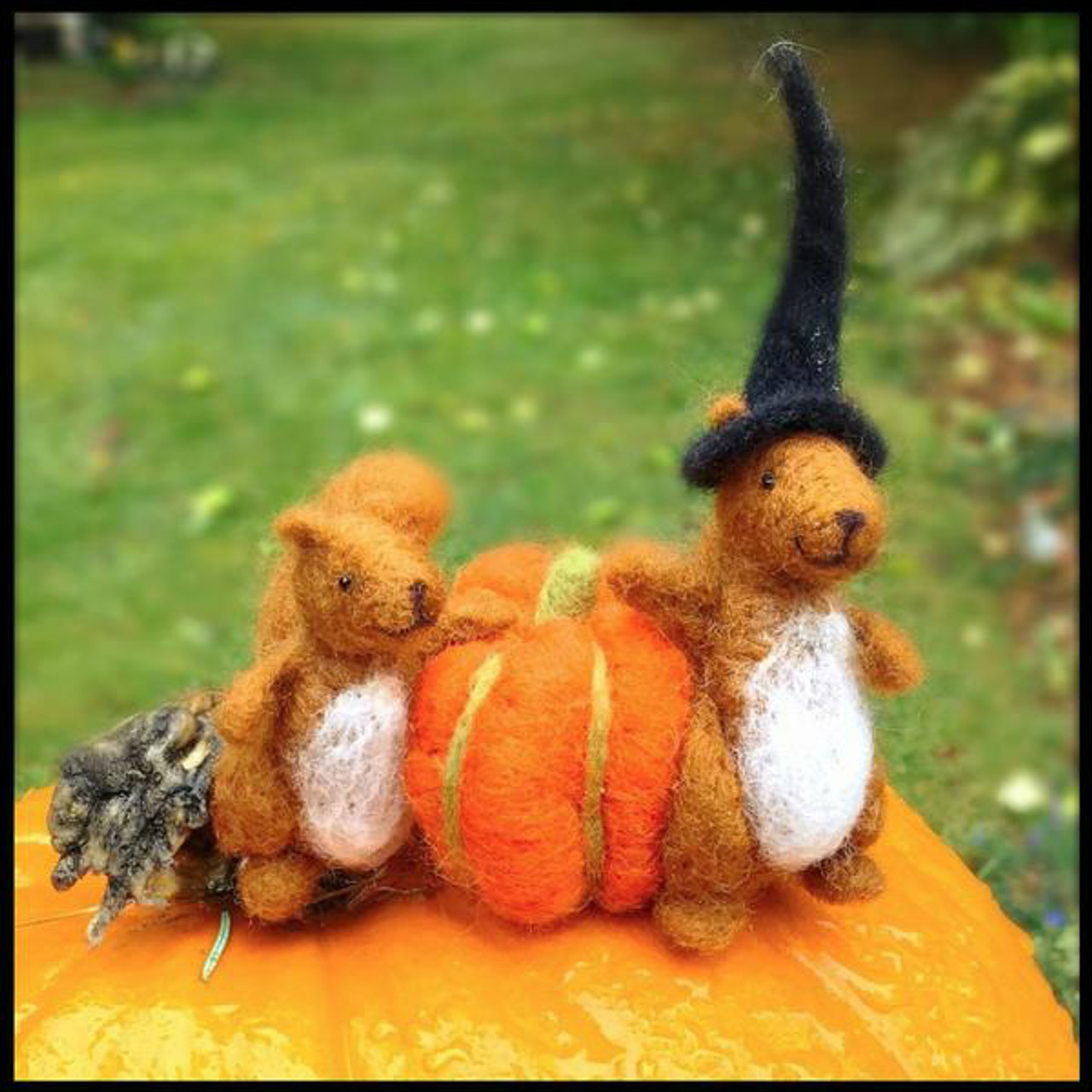 Woolpets Needle Felting Start Kit - Squirrel + Pumpkin