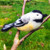 Needle Felting Kit Easy - Chickadee