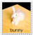 Needle Felting Kit Easy - Bunny