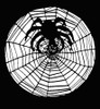 Stencil Spider W Web Stainless