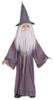Gandalf Kid's Costume