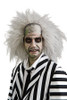 Beetlejuice Wig