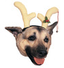 Reindeer Dog Antlers