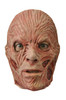 Freddy Krueger Latx Adult Mask